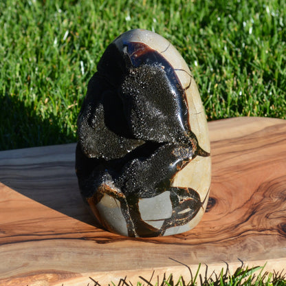 Septarie Freiform mit Druse 1,97Kg