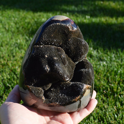 Septarie Freiform mit Druse 1,97Kg