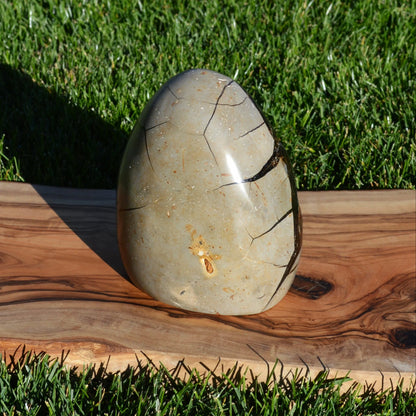 Septarie Freiform mit Druse 1,97Kg