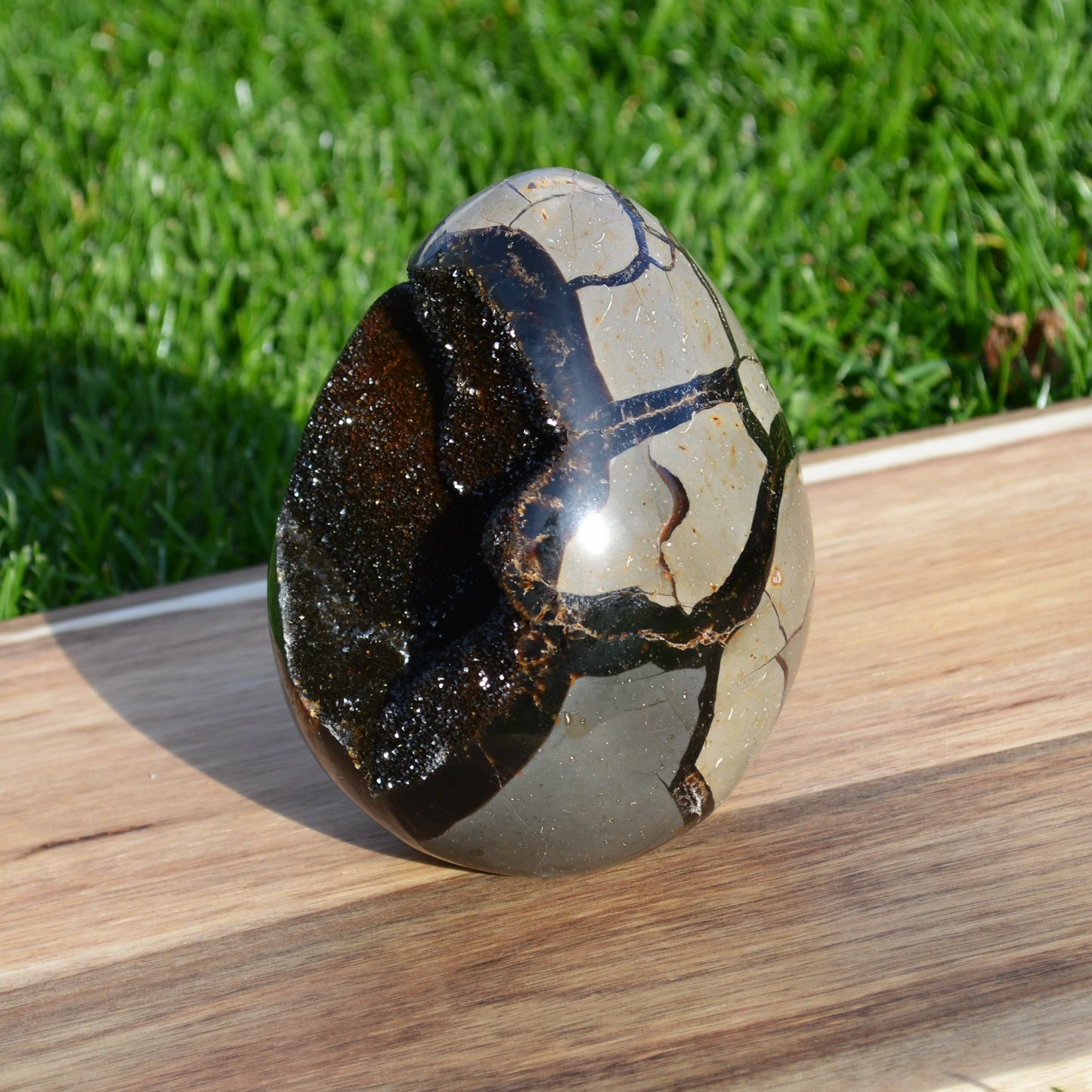 Septarie Ei mit Druse 1,38Kg