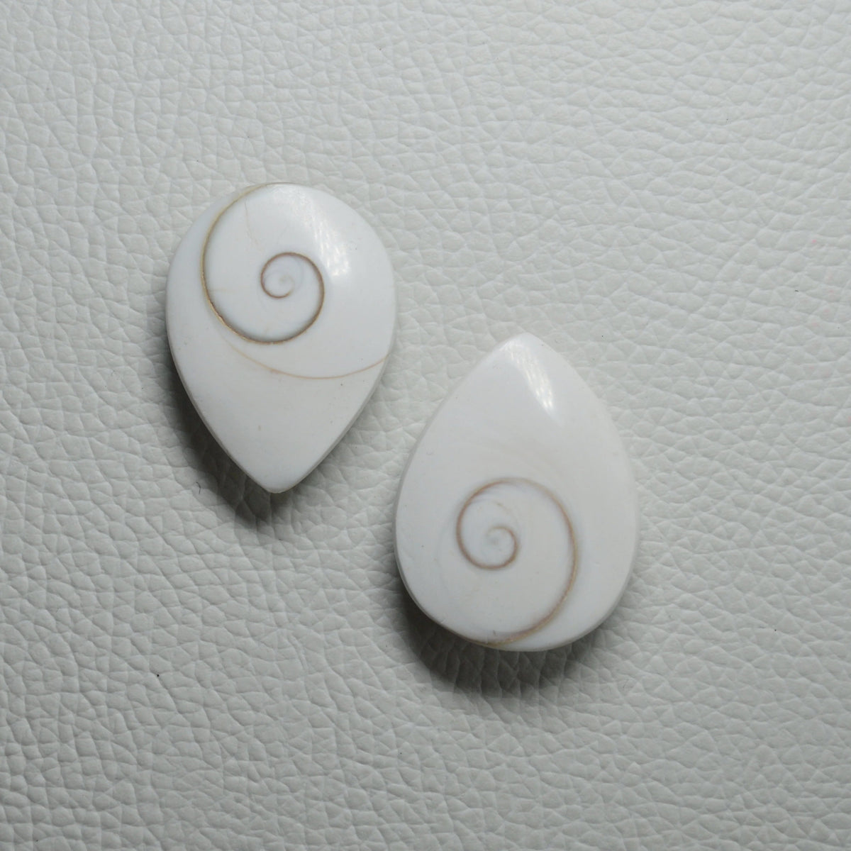 Shiva-Auge (Operculum) Tropfen