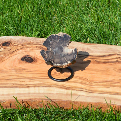 Versteinertes Holz auf Halterung – Klein, einzigartiges Unikat als natürliche Dekoration.