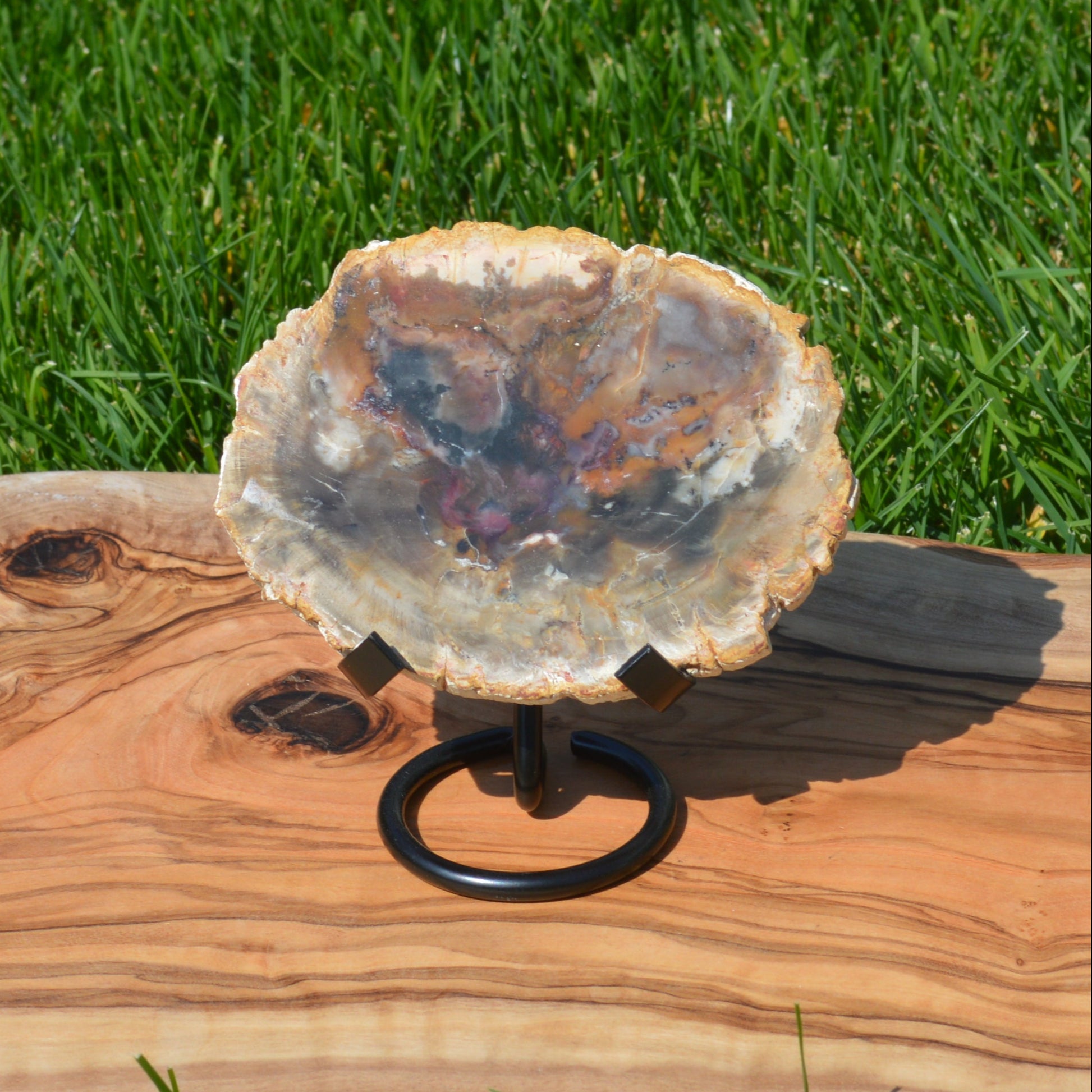 Versteinertes Holz auf Halterung, fossiles Naturstück mit natürlicher Maserung, dekoratives Einzelstück für Wohnräume oder Sammler.