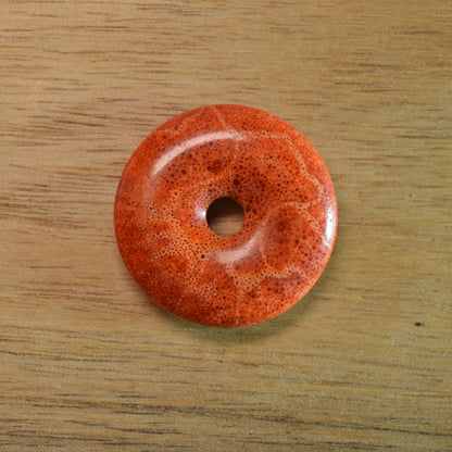 Schaumkoralle Donut (Fossil) - 27mm