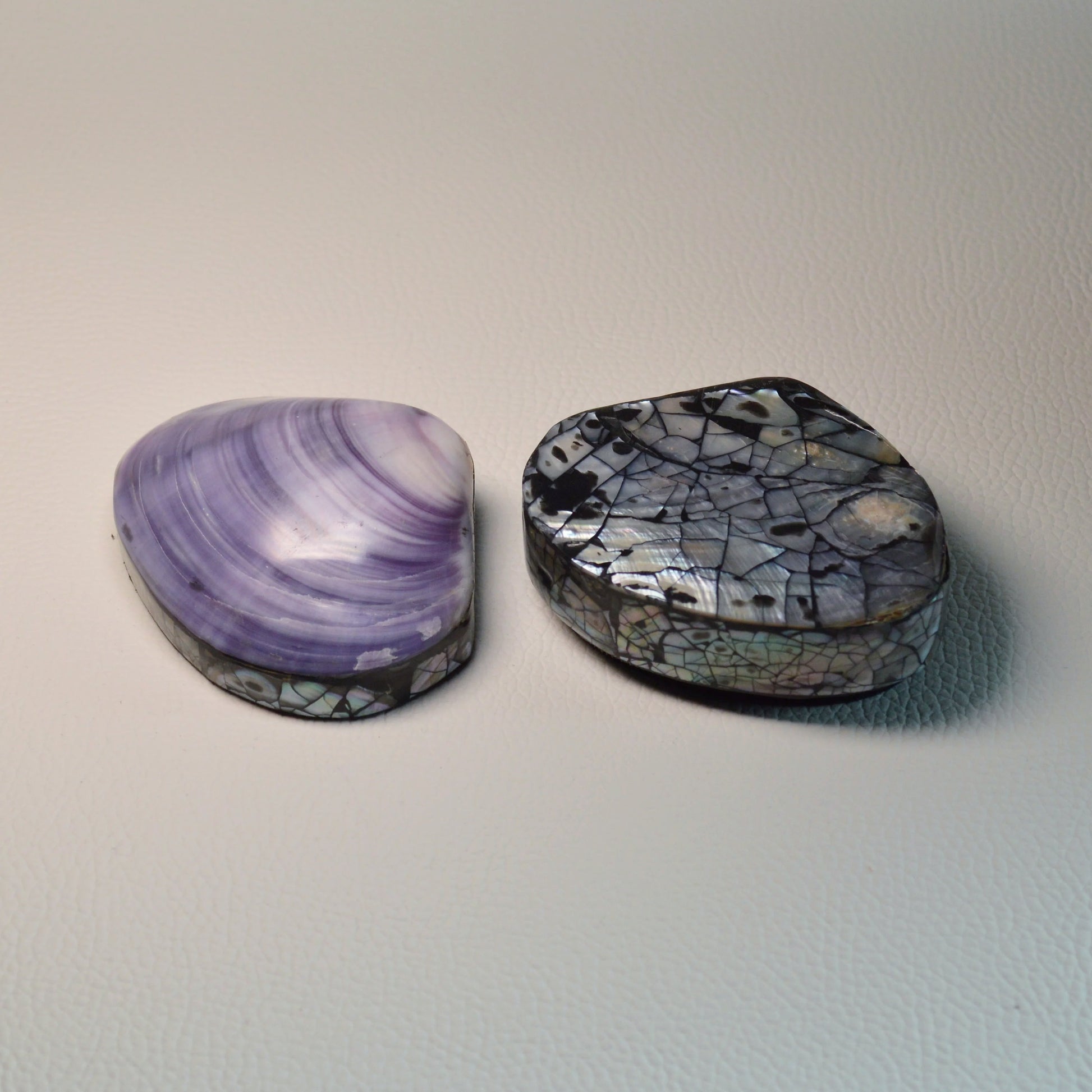 Handgefertigte violette Muschel Schmuckschatulle, aus Körbchenmuschel mit silbergrauem Perlmutt.