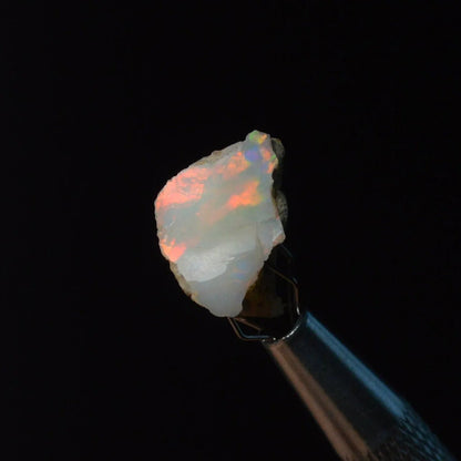Welo Opal Rohstein - wähle deinen Favoriten