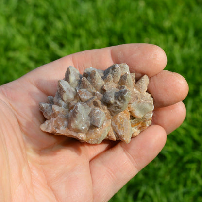 Wolfzahn Calcit (Dogtooth Calcit)